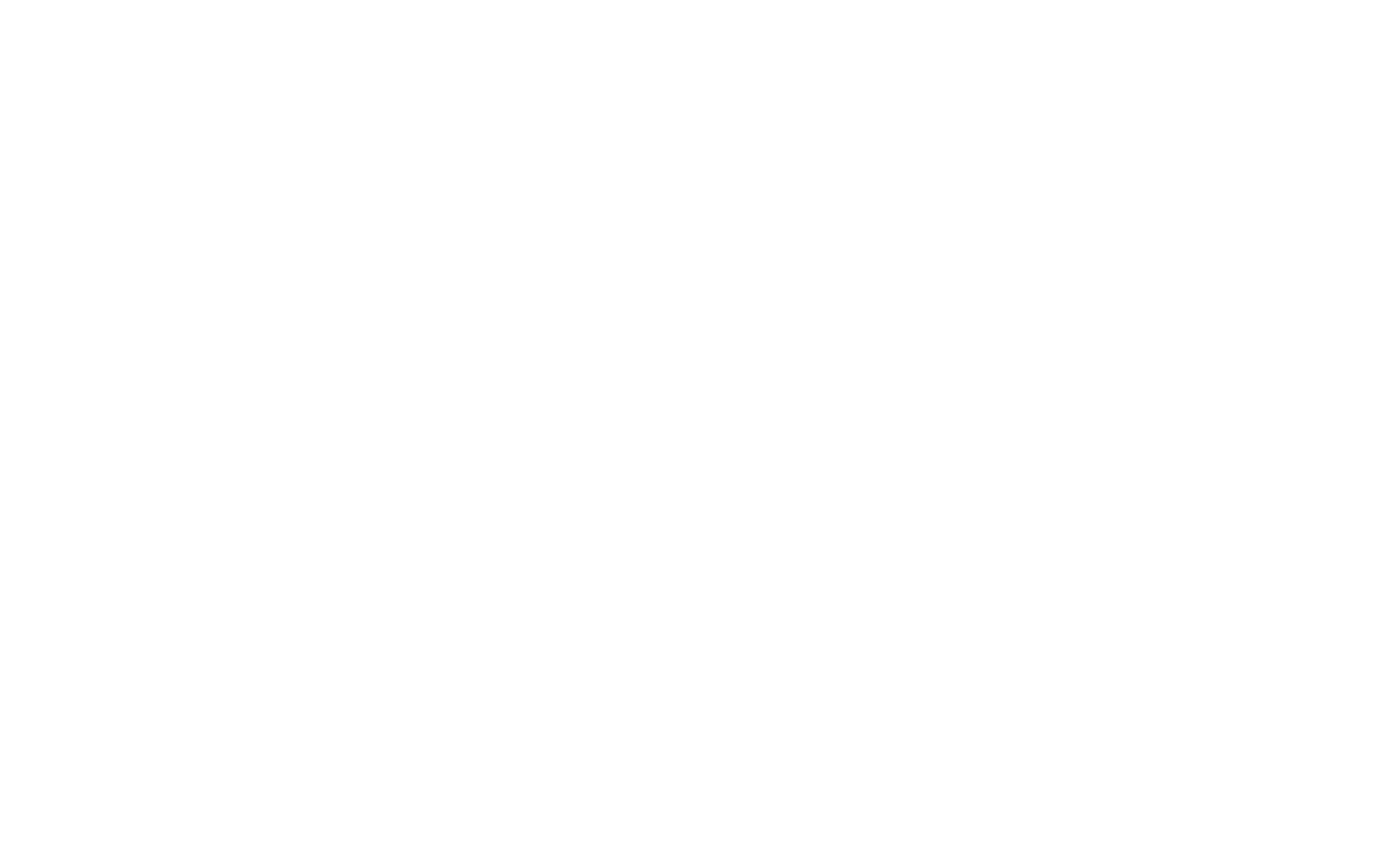 Savannah Station Logo